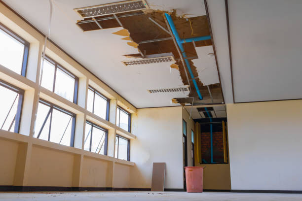 Best Water damage restoration experts  in Oakland, IA