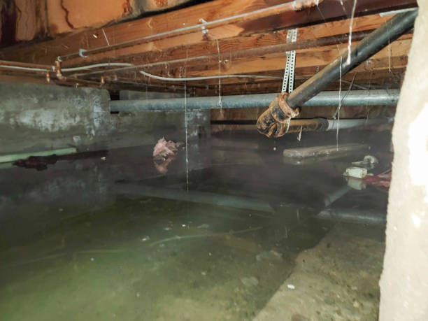 Best Water damage contractors near me  in Oakland, IA
