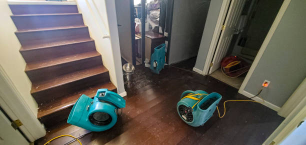 Best Flooded house restoration  in Oakland, IA