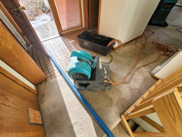Best Flood damage cleanup  in Oakland, IA