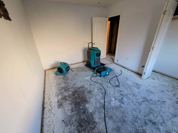 Best Fire Damage Restoration  in Oakland, IA