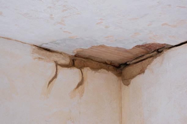 Best Professional water damage repair  in Oakland, IA