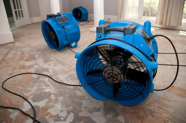 Best Flood damage cleanup  in Oakland, IA