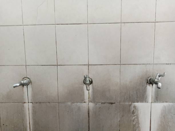 Best Water damage contractors near me  in Oakland, IA