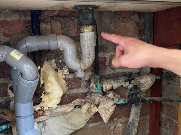 Best Water damage restoration company  in Oakland, IA