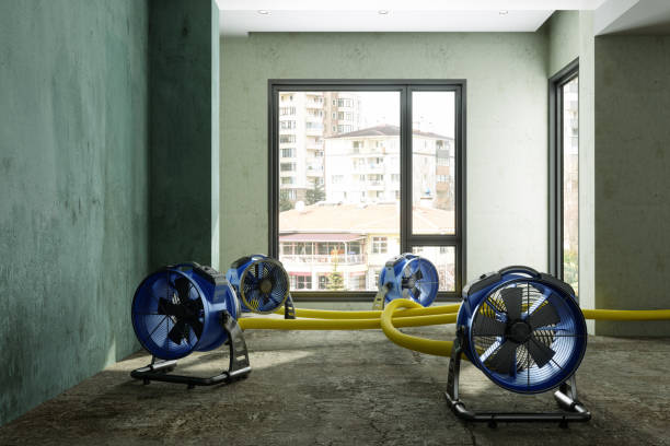 Best Professional water damage repair  in Oakland, IA