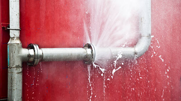 Best Mold removal after water damage  in Oakland, IA