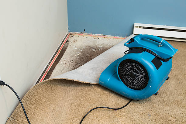 Best Ceiling water damage repair  in Oakland, IA